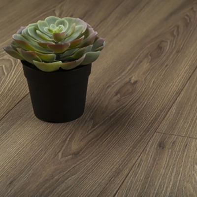 Ламинат Kronopol Platinum Milo Anthena Walnut D3712 (2,372 м2). Фотографии, цена, характеристики