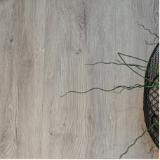 Кварц-виниловая плитка LVT (клеевая) VinilPol Дуб Неаполь (4,459 м2)